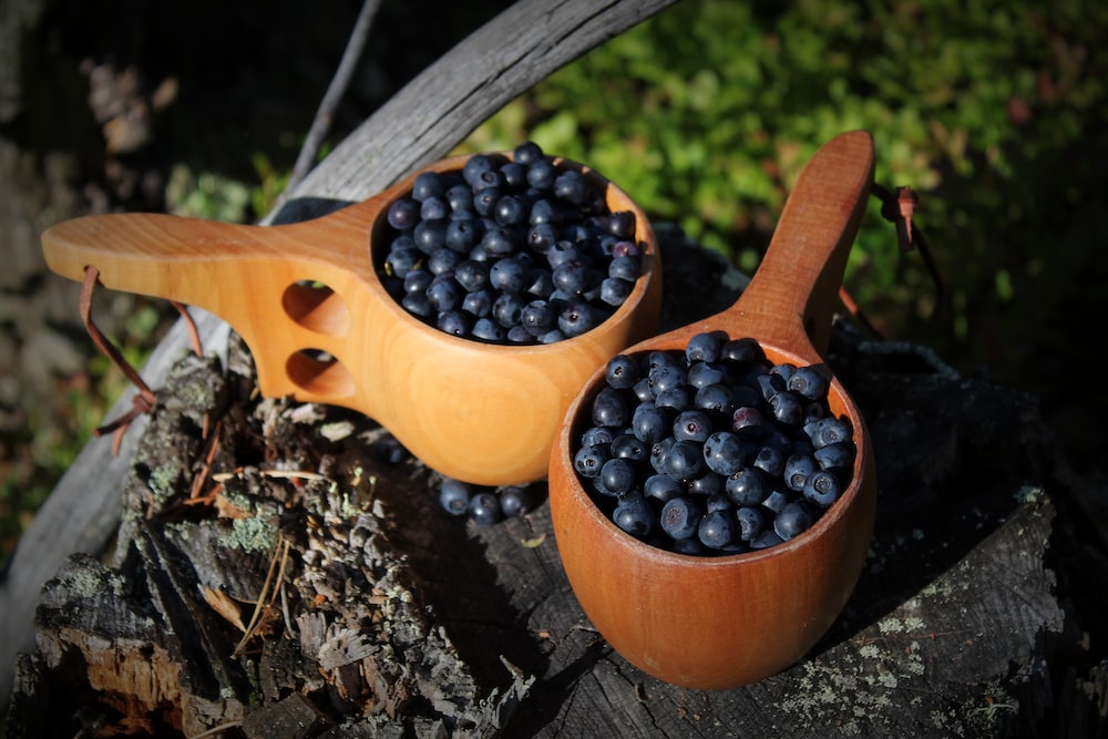  Boost Your Health with Bilberry Supplementation