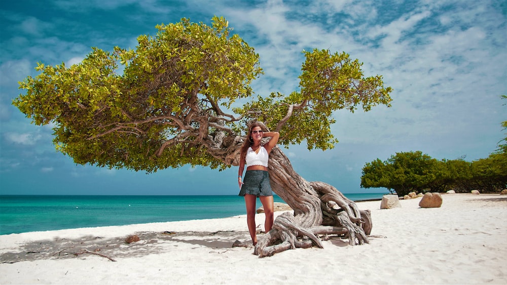 

Explore the Beauty of Aruba on Your Next Vacation