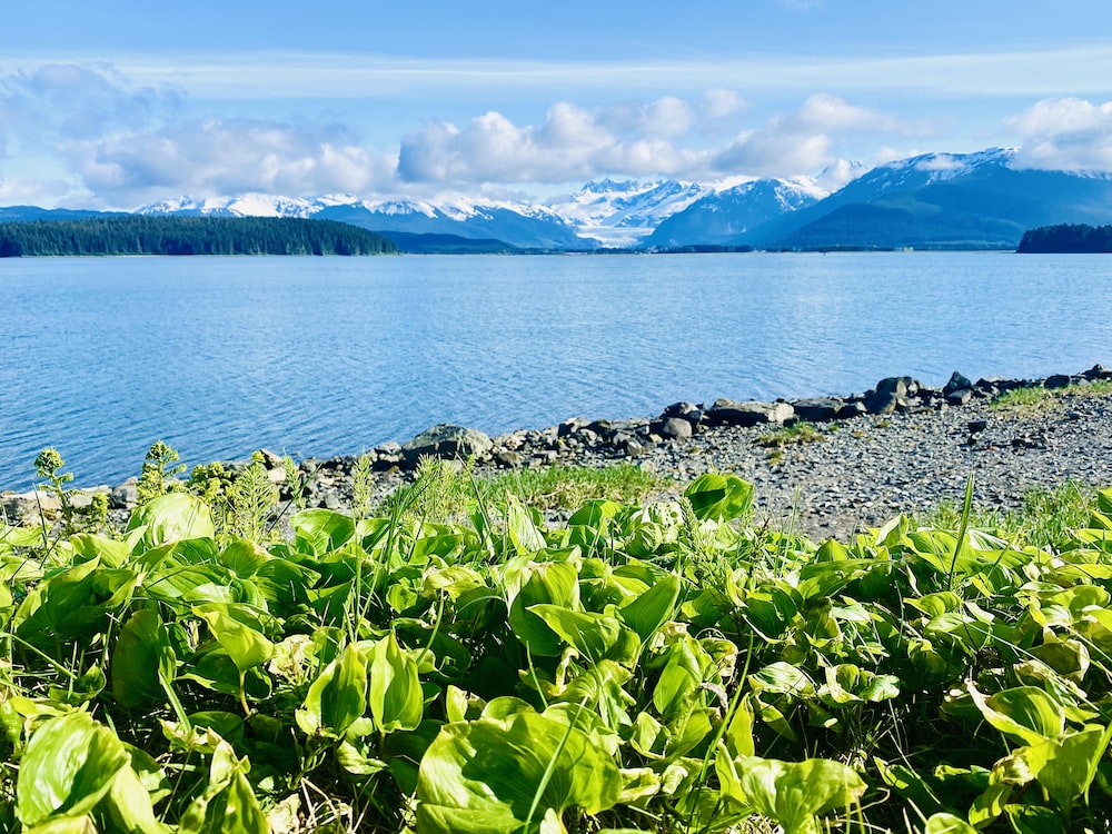 

Explore the Beauty of Juneau - Visit the Capital of Alaska Today!