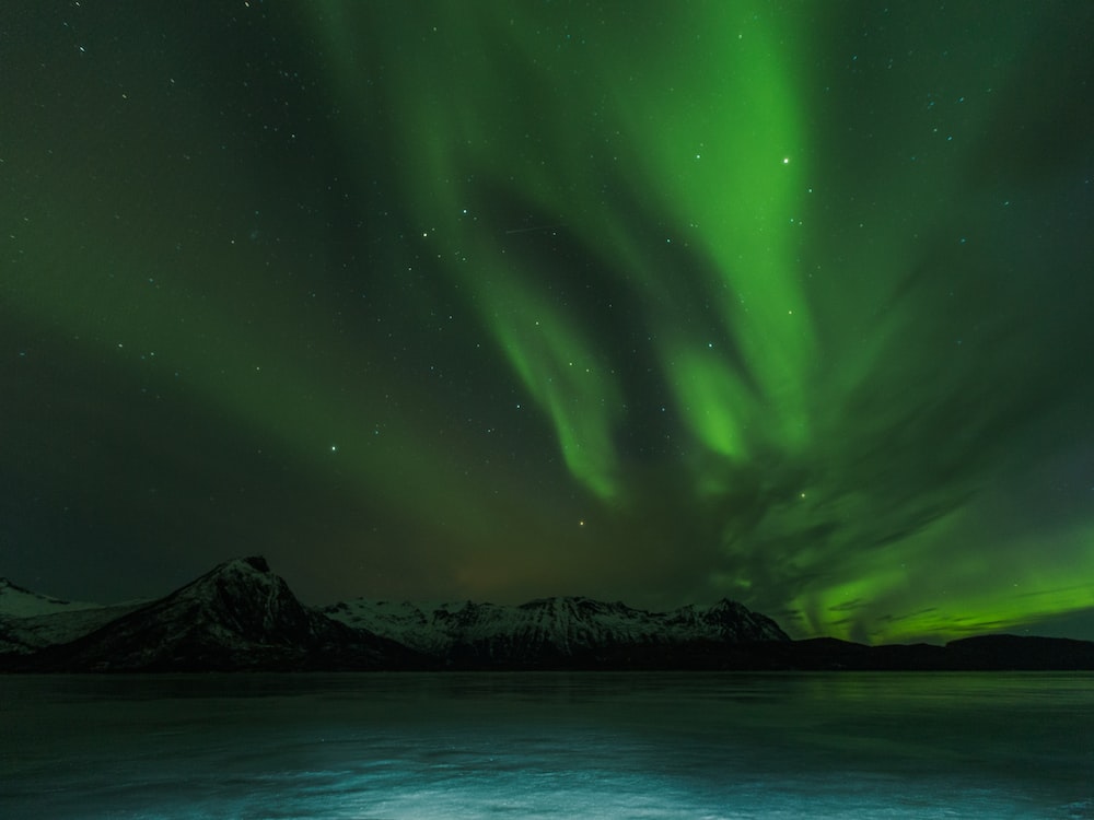 a green aurora bore over a lake with mountains in the background