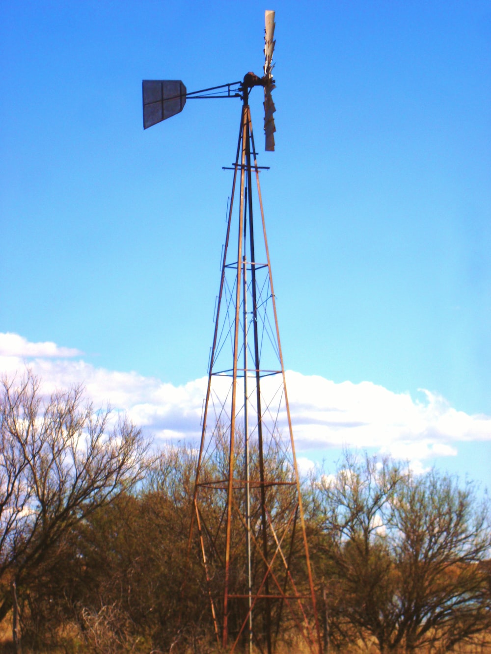 black street light near bare trees under blue sky during daytime