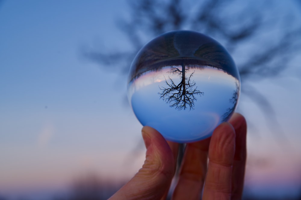 person holding clear glass ball